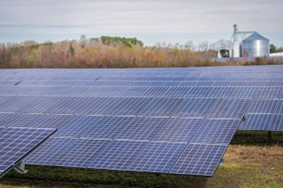 Solar Panels in the Field